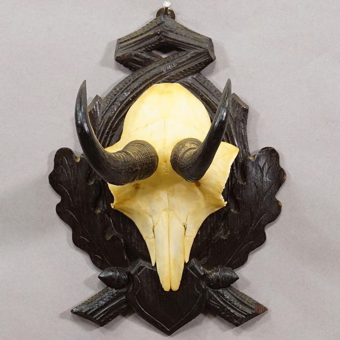 Antique Chamois Trophy on Carved Plaque, Germany Ca. 1930s - 4