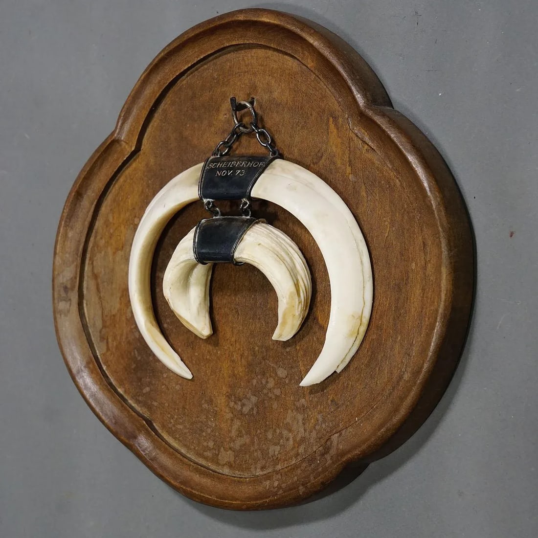 Vintage Wild Boar Trophy on Wooden Plaque, Germany 1970s - 3