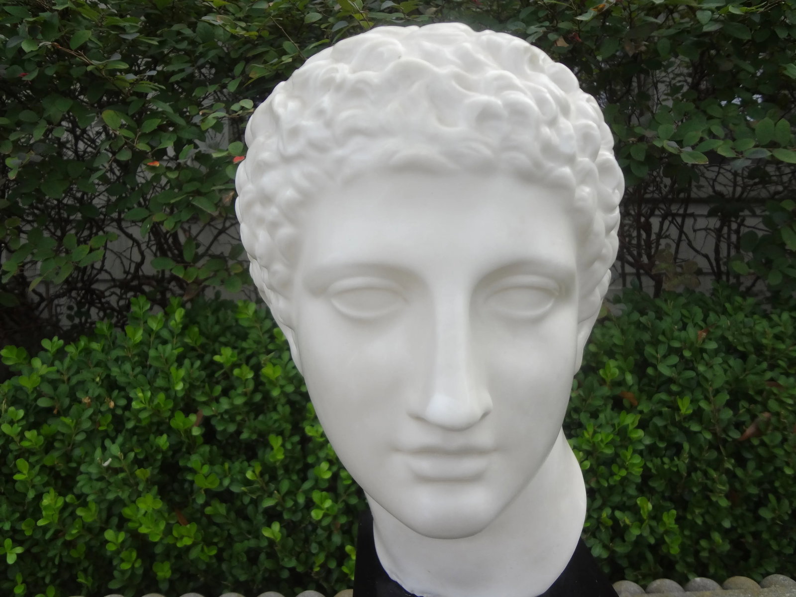 French Porcelain Bust of a Classical Male - 3