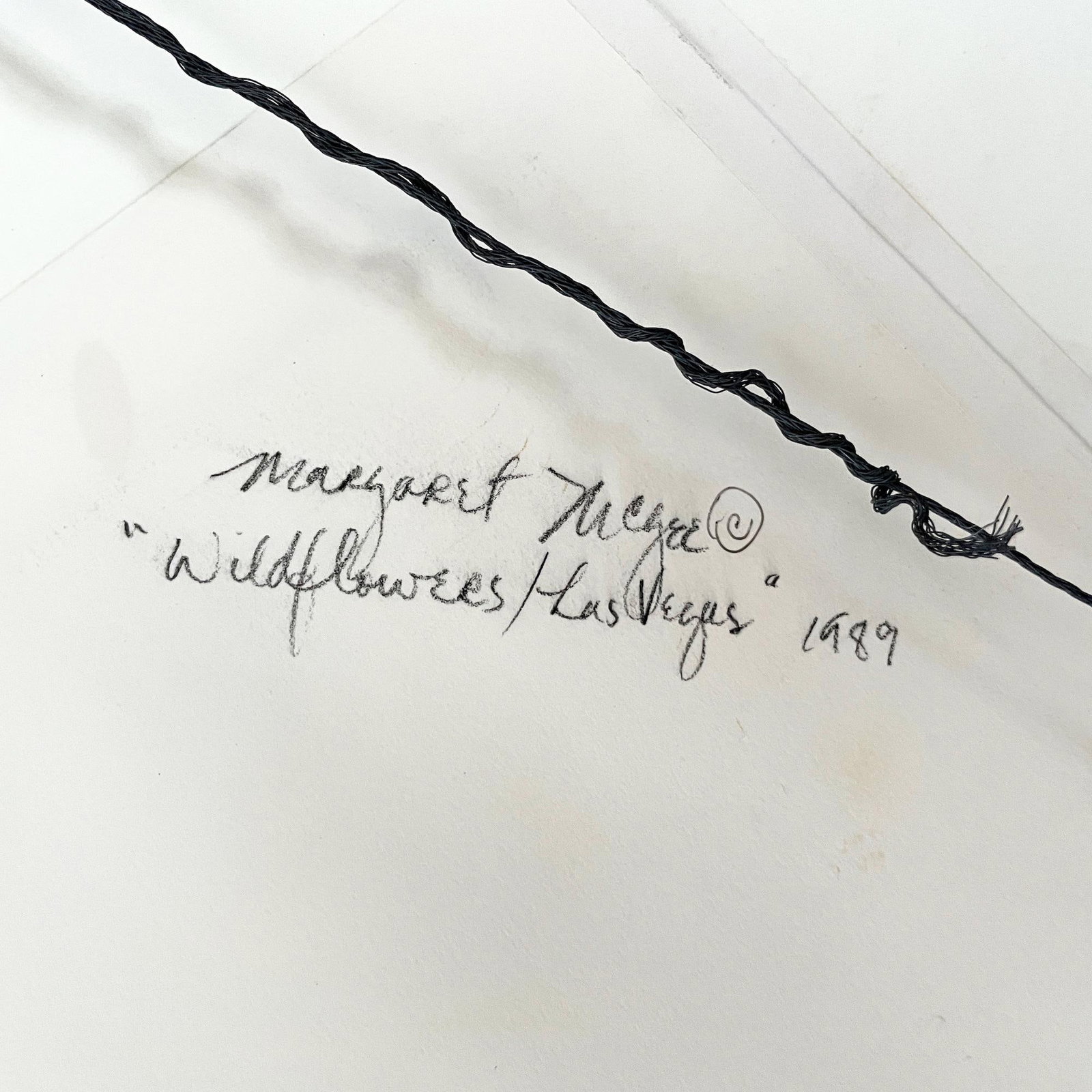 Margaret McGee "Wildflowers/Las Vegas" Oil on Paper 1989 - 5
