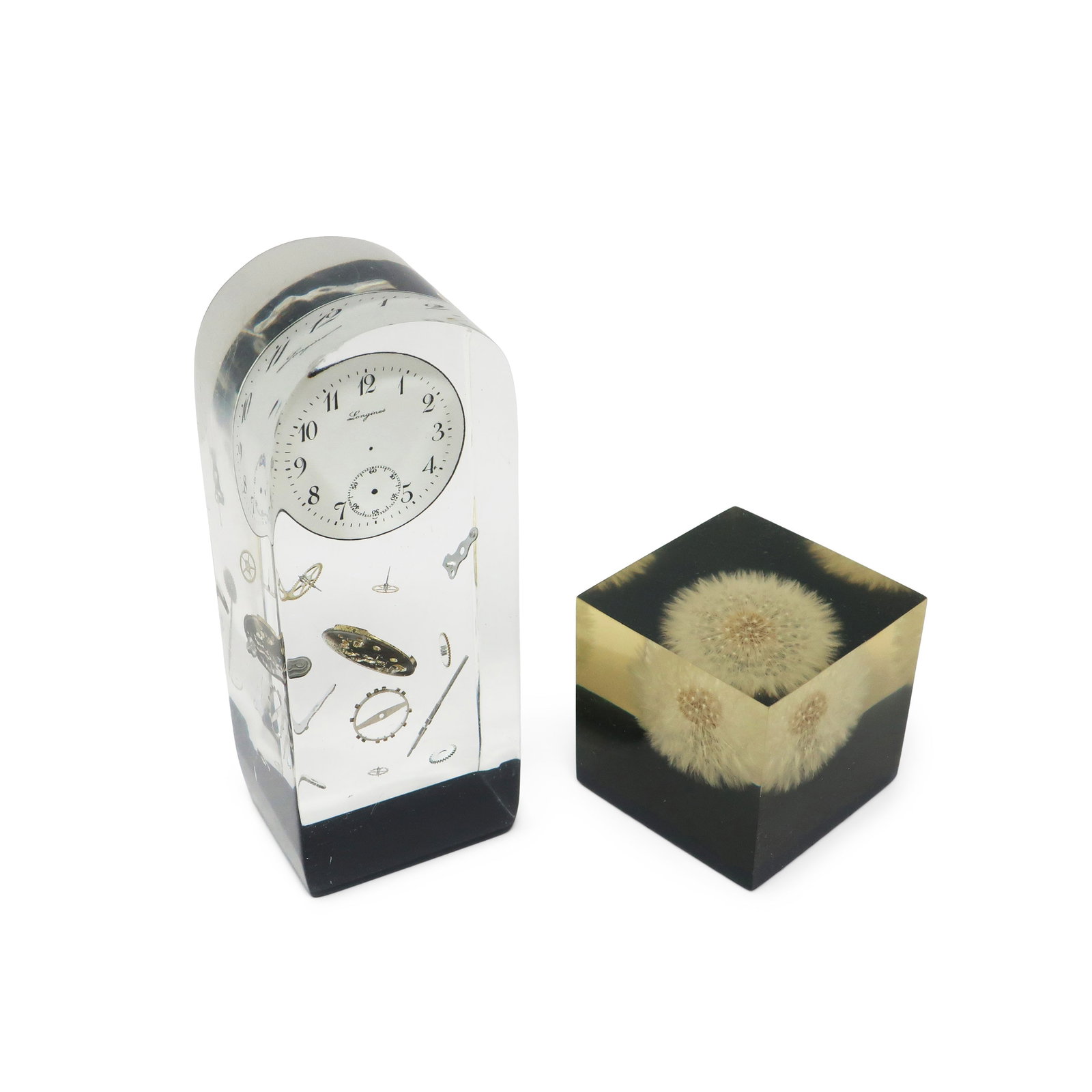 Set of Vintage Lucite Encased Paperweights - 2