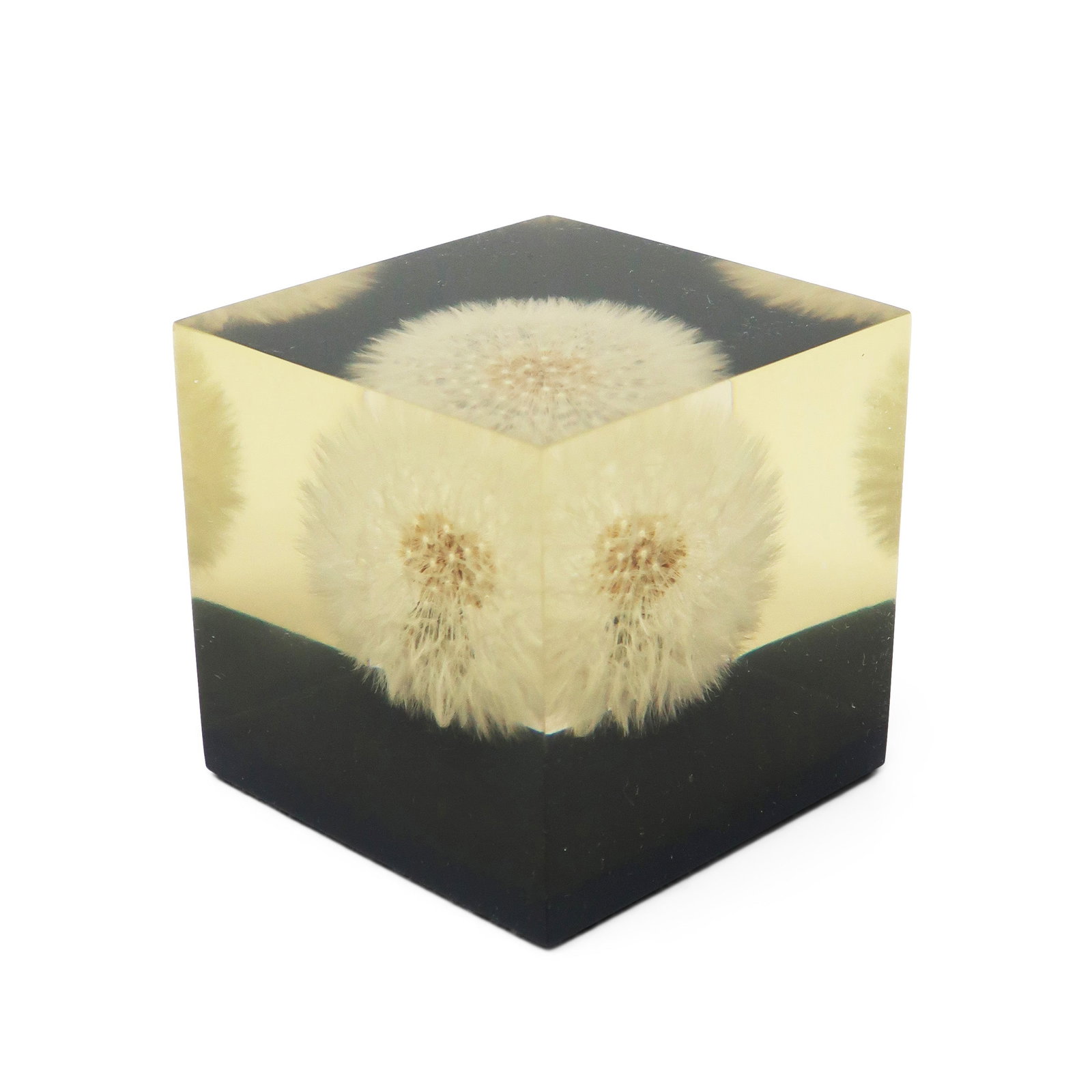 Set of Vintage Lucite Encased Paperweights - 3