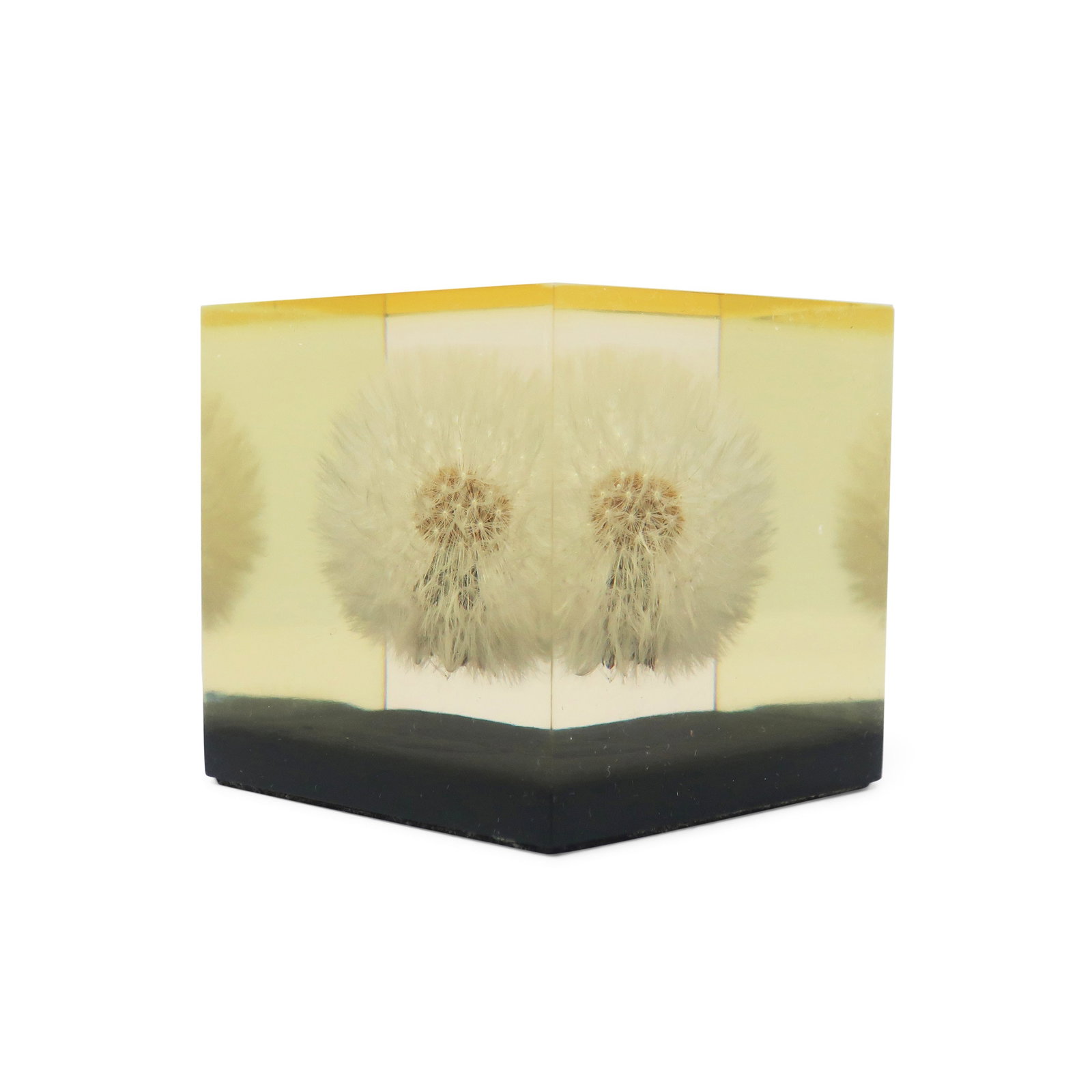 Set of Vintage Lucite Encased Paperweights - 5