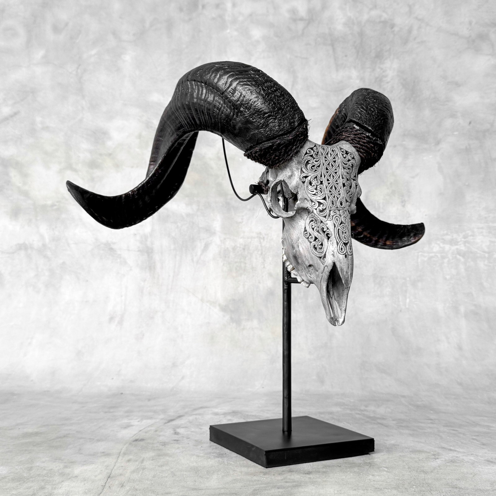 Carved grey ram skull - Infinity motif - 10