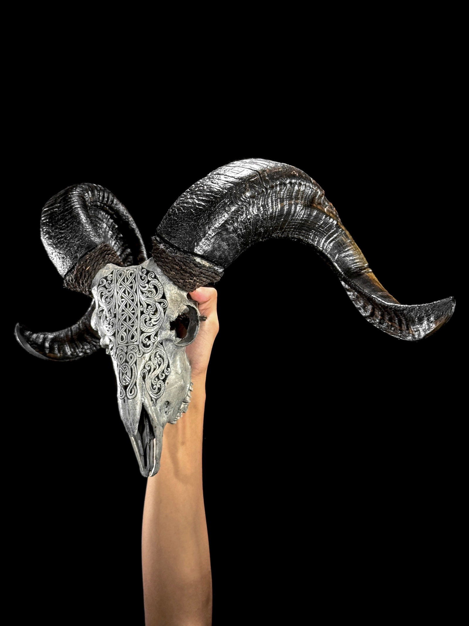Carved grey ram skull - Infinity motif - 2