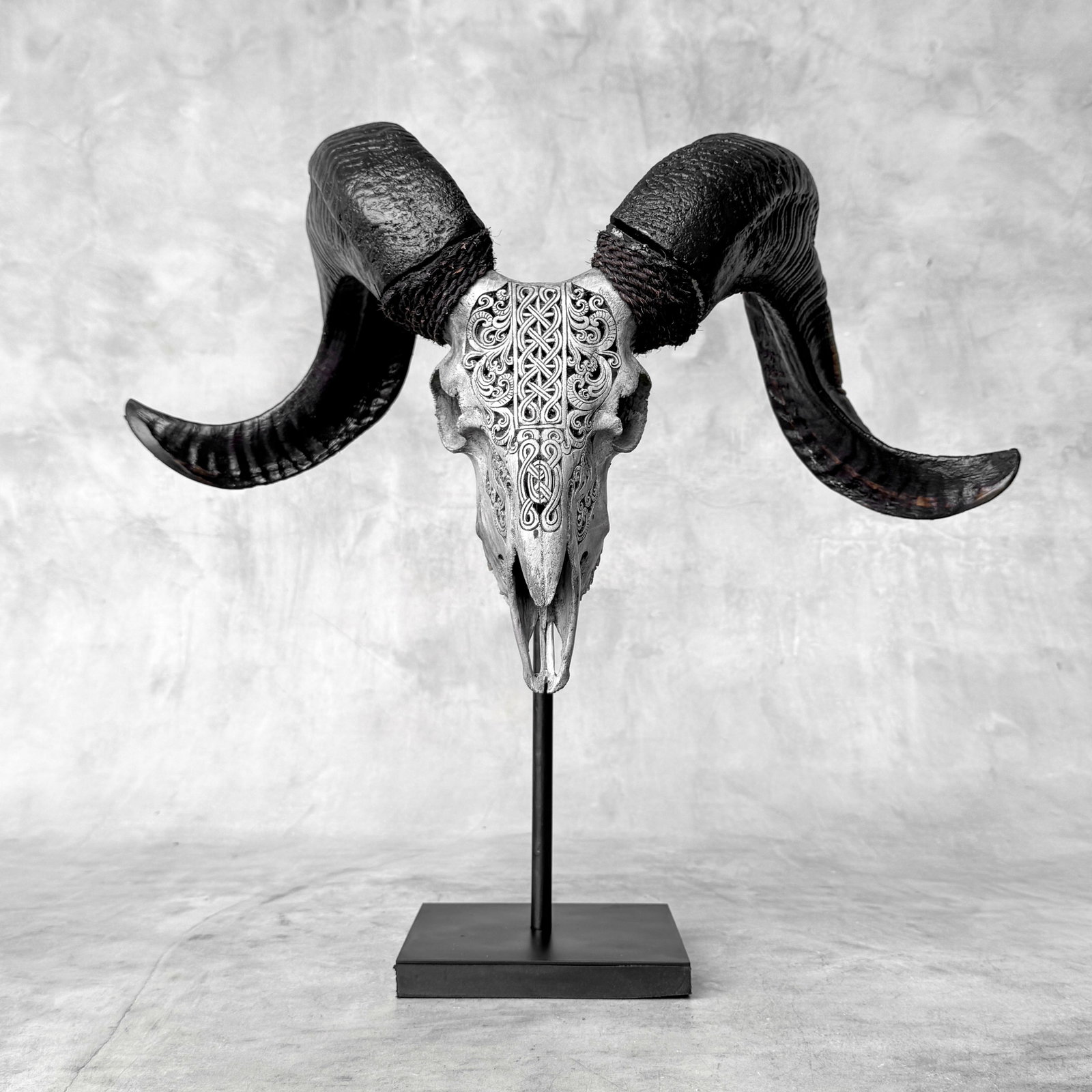 Carved grey ram skull - Infinity motif - 3