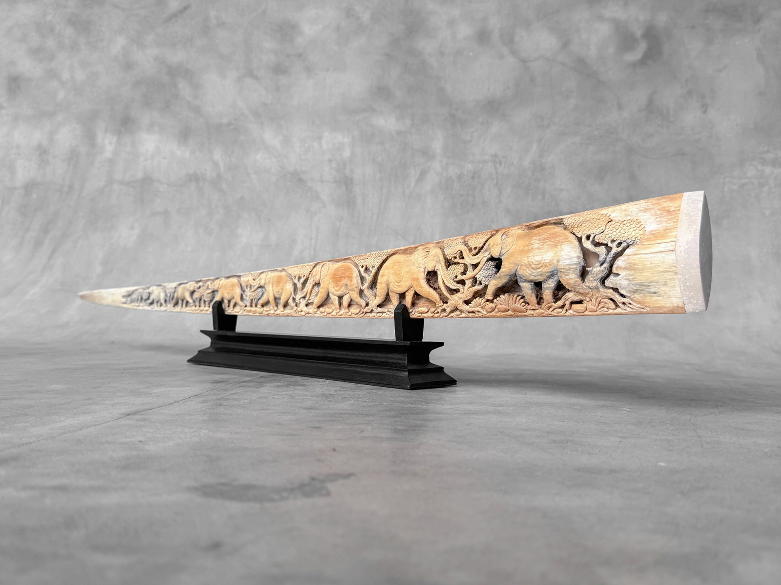 A stunning carved swordfish rostrum - Parade of Savannah elephants - 4