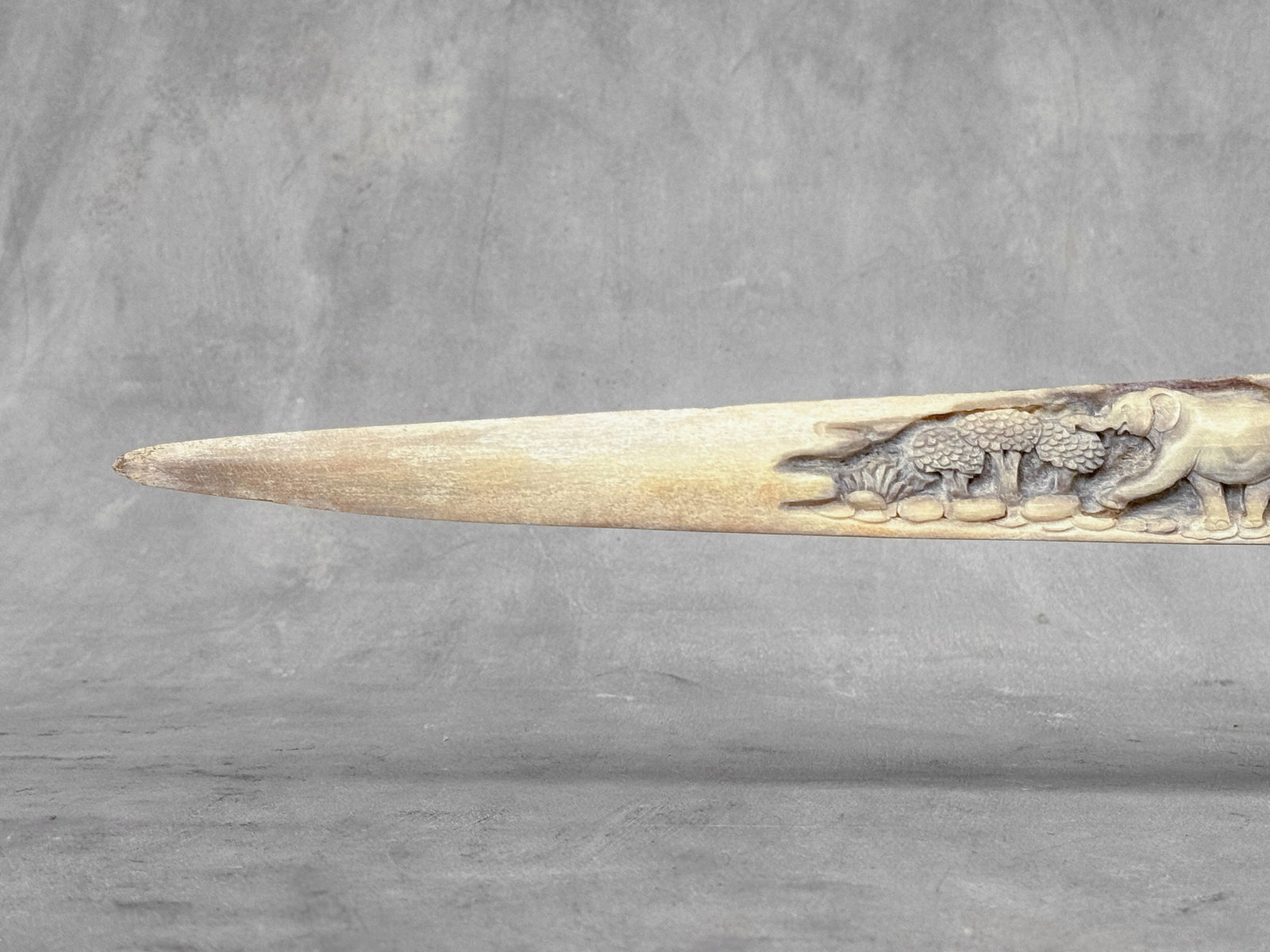 A stunning carved swordfish rostrum - Parade of Savannah elephants - 5