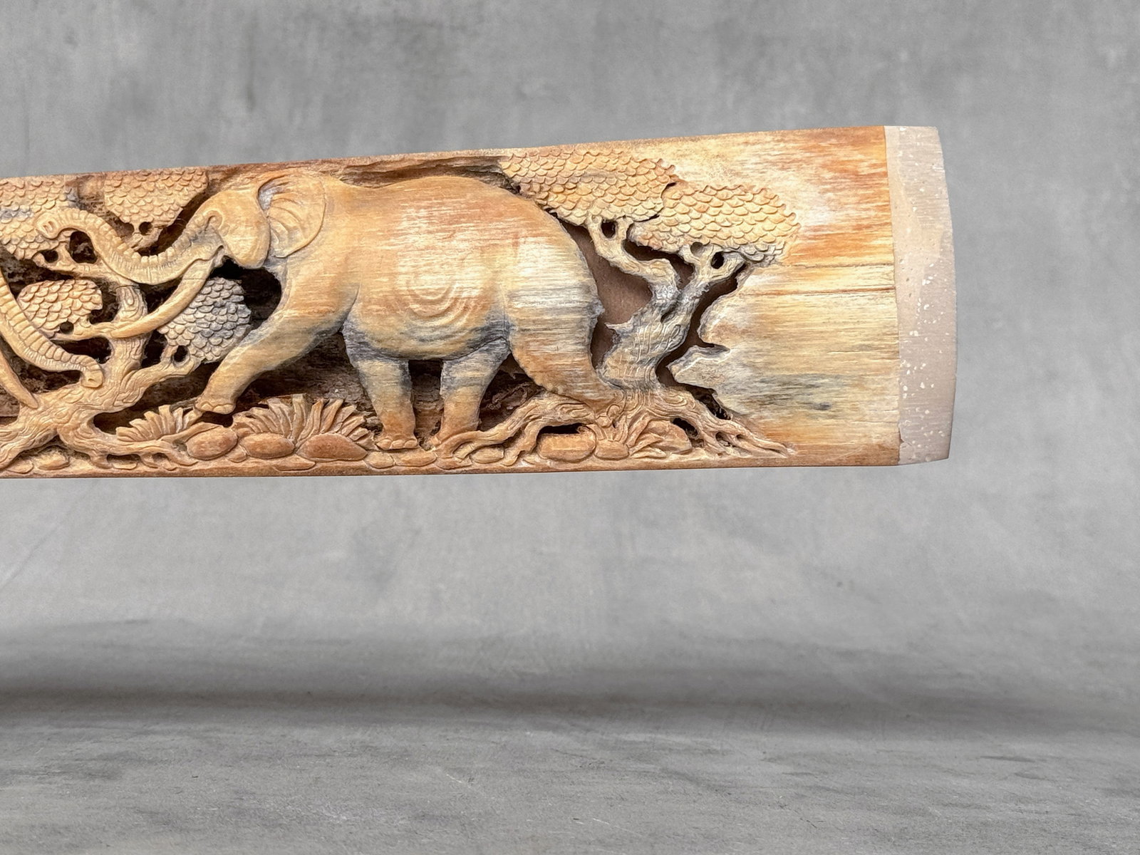 A stunning carved swordfish rostrum - Parade of Savannah elephants - 9