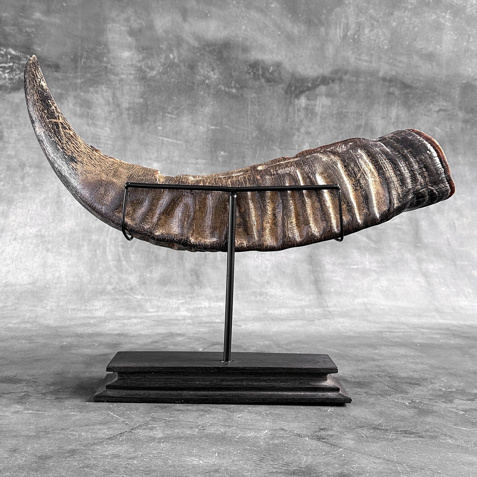 Finely engraved large waterbuffalo horn - Elephants motif - 9