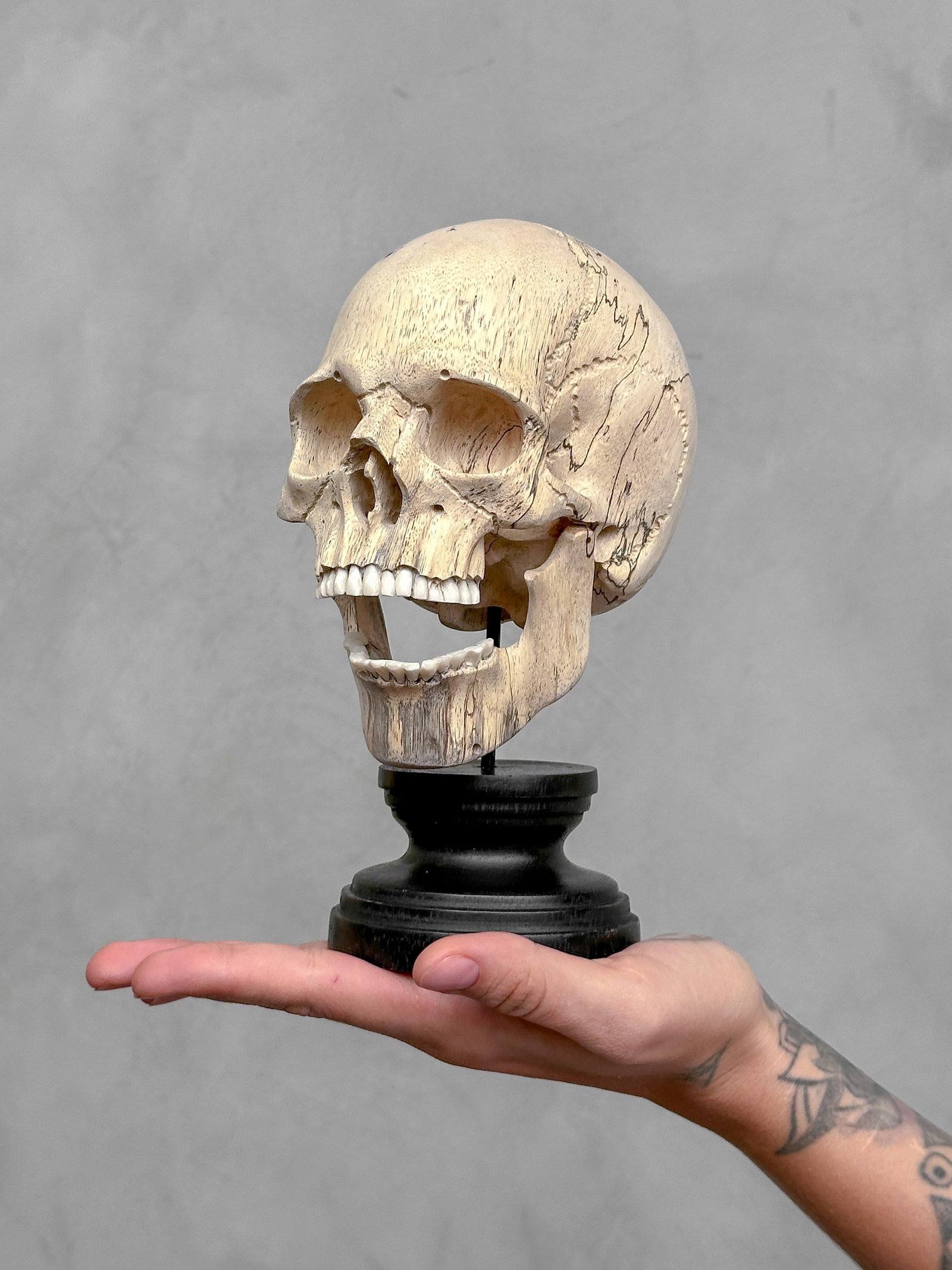 Wonderful human skull with a beautiful grain on a custom stand: Title: Wonderful human skull with a beautiful grain on a custom stand Maker:Unknown Origin: Indonesia Date/Period:2026 Materials:Tamarind Wood, Steel, Wood Dimensions:Height incl. stand: 20 cm / 7.8
