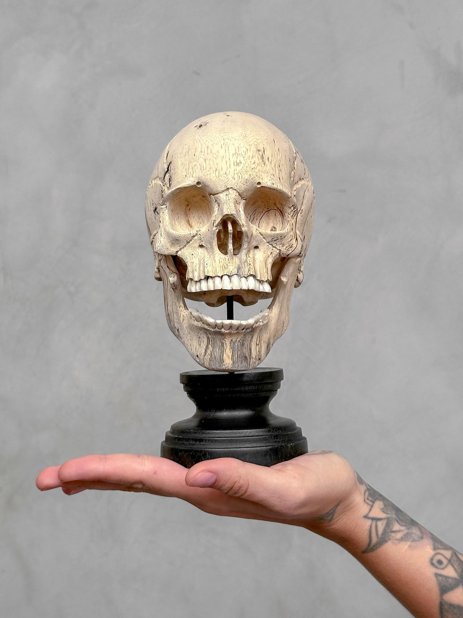 Wonderful human skull with a beautiful grain on a custom stand - 2