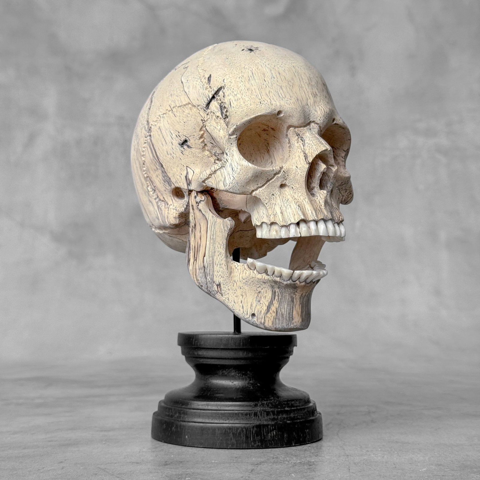 Wonderful human skull with a beautiful grain on a custom stand - 8