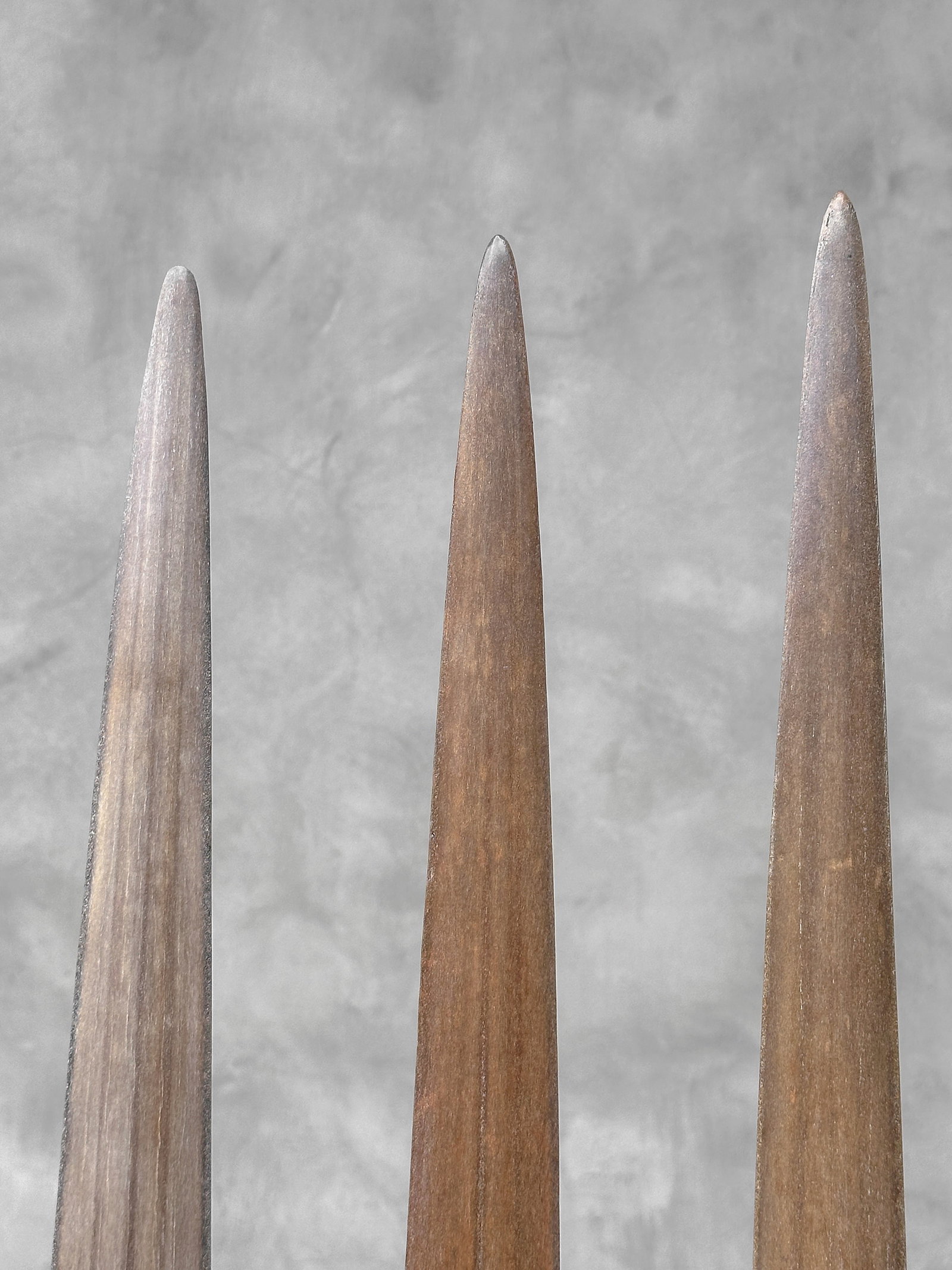 Swordfish tusk trio with custom stands - 10