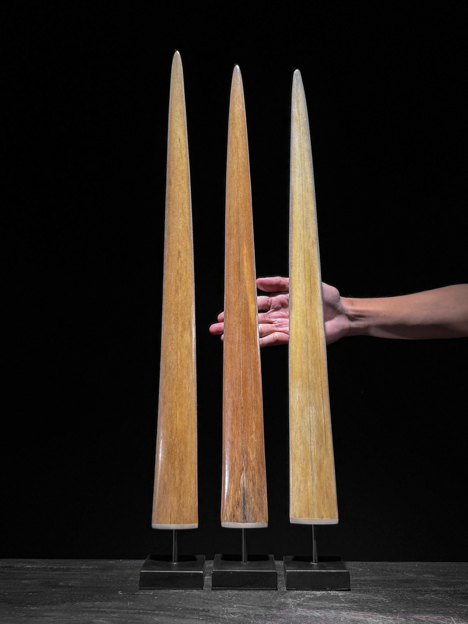 Swordfish tusk trio with custom stands (1 of 10)
