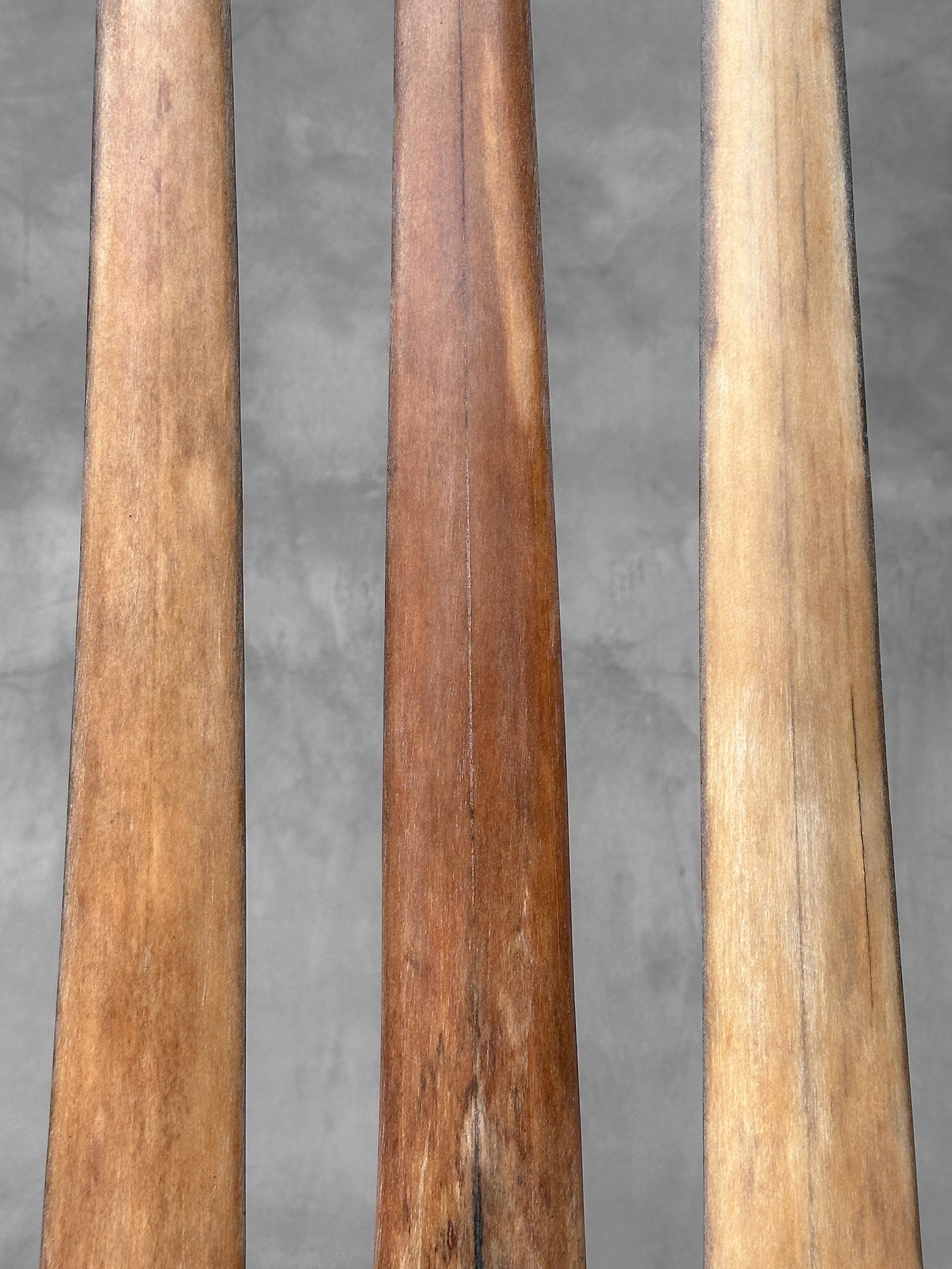 Swordfish tusk trio with custom stands - 5
