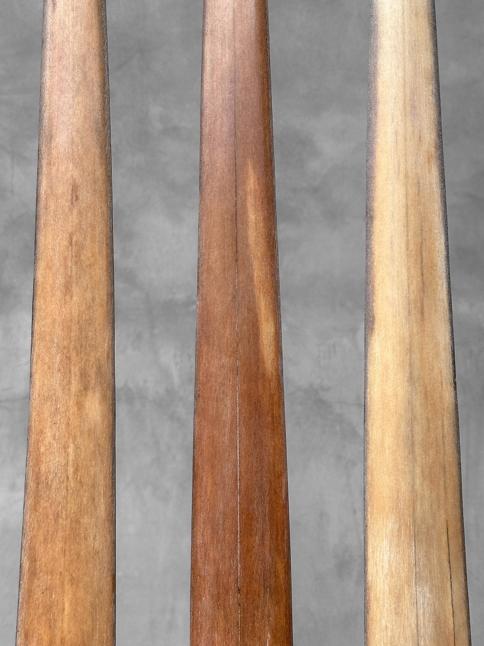 Swordfish tusk trio with custom stands - 6