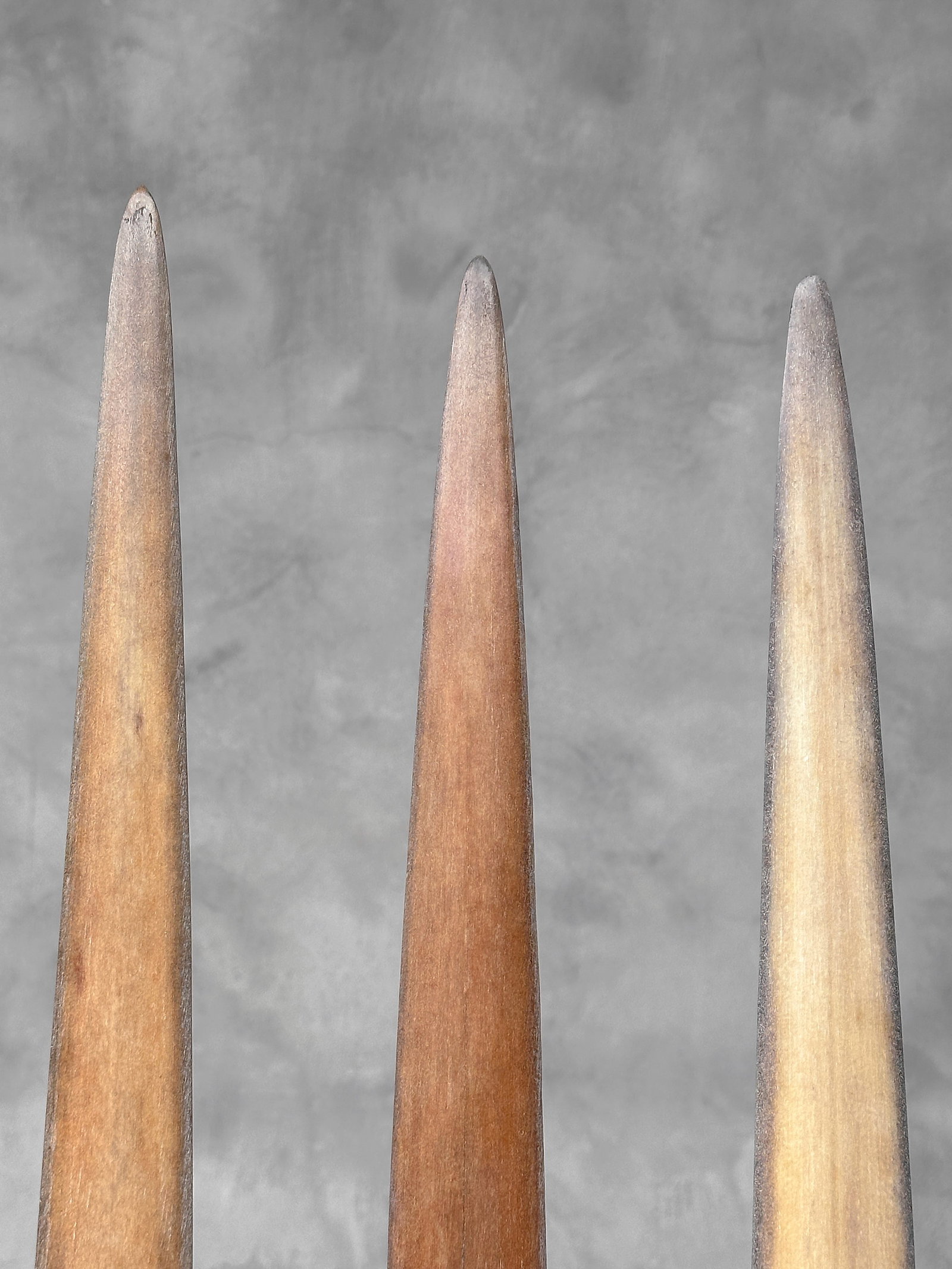 Swordfish tusk trio with custom stands - 8