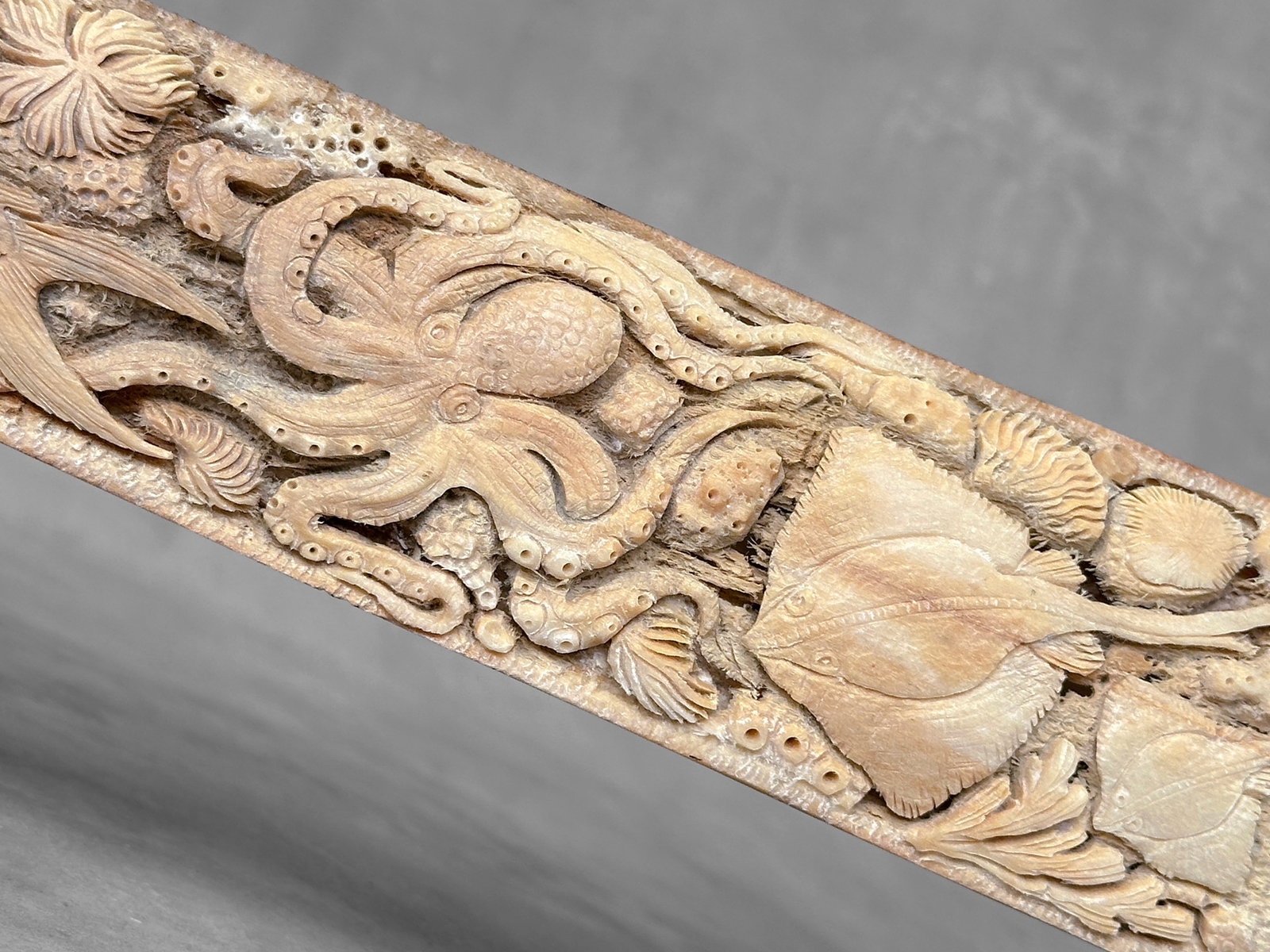 Wonderful engraved Swordfish rostrum - Marine motif - 3