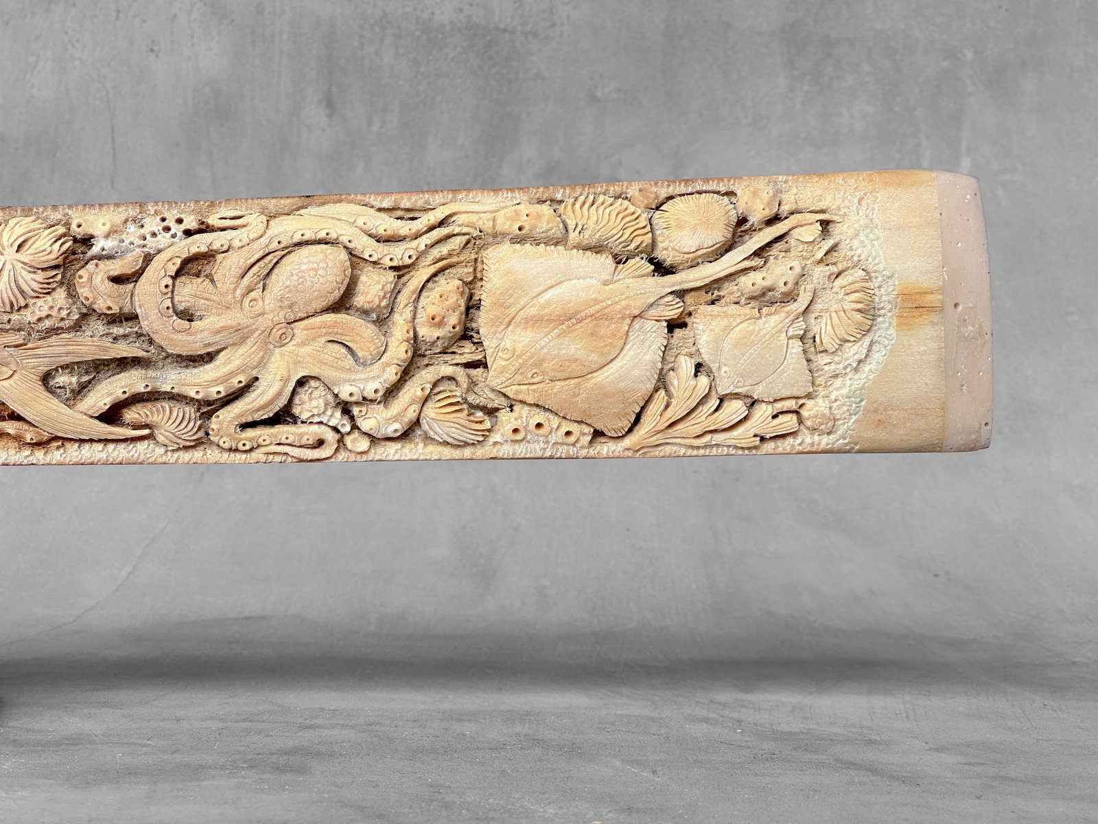 Wonderful engraved Swordfish rostrum - Marine motif - 9