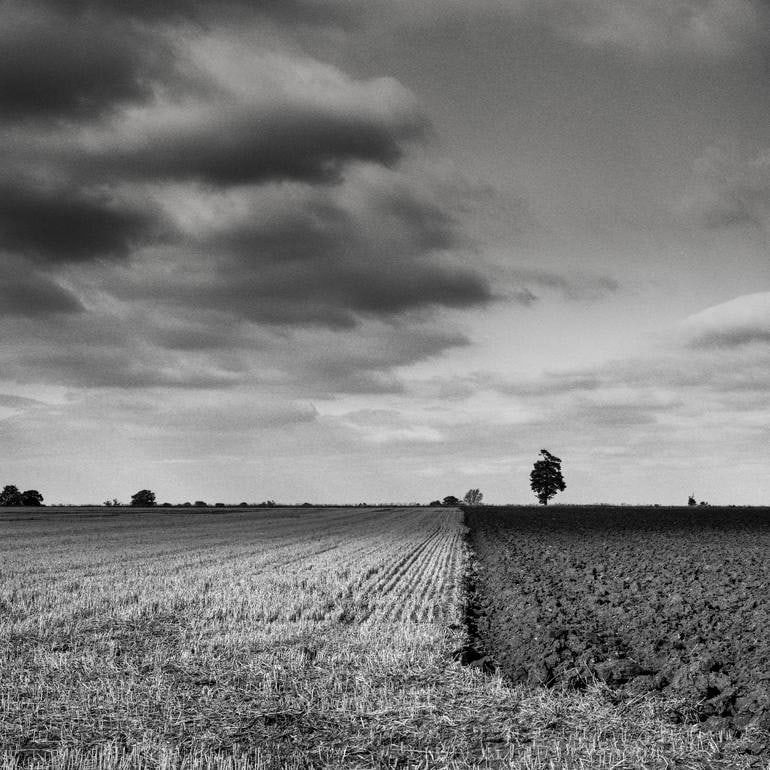 The Dividing Line, Wickham Skeith, Suffolk - Silver Gelatin Photograph (1 of 3)