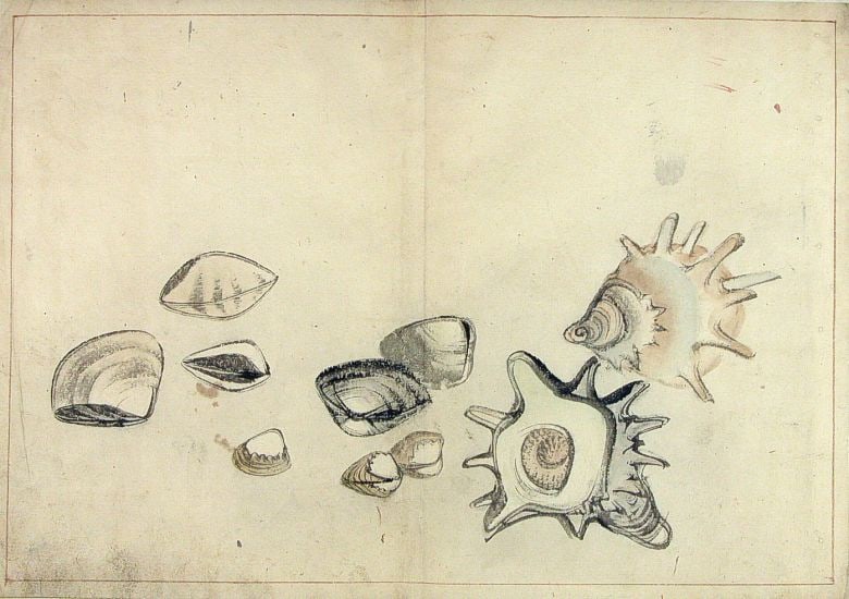 Anonymous: A Shoal of Fishes - Five Japanese ink drawings - 5