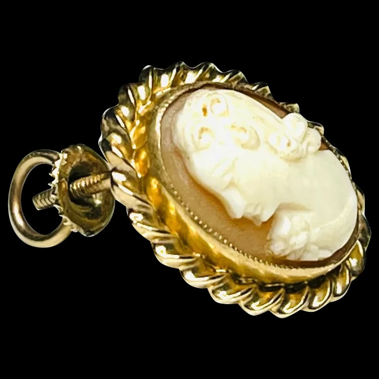 Vintage Gold Left- Facing Carved Shell Cameo Pin: Title: Vintage Gold Left- Facing Carved Shell Cameo Pin Description: Vintage Gold Left- Facing Carved Shell Cameo Pin. .50 x .75 inches. 10k Gold. Screw back pin closure.. Date/Period: Vintage Reserve