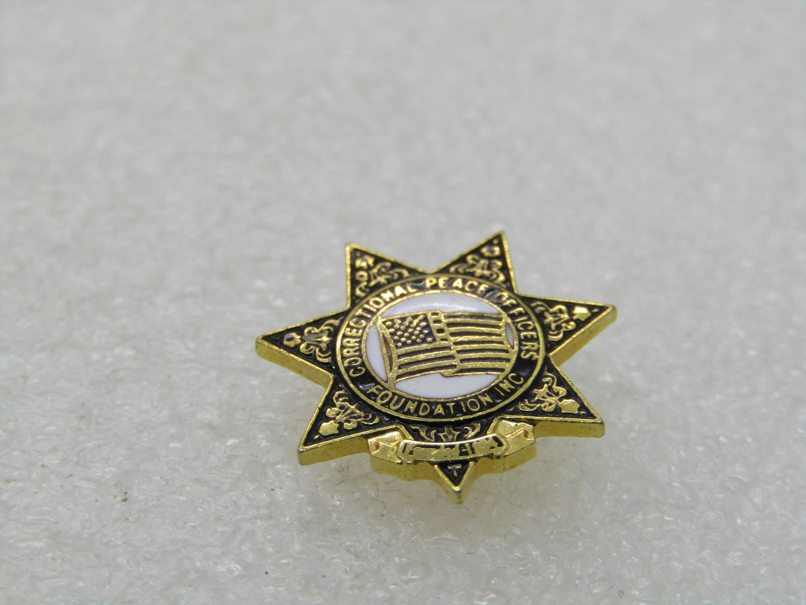 Vintage Correctional Peace Officer Enameled Tack Pin - 3