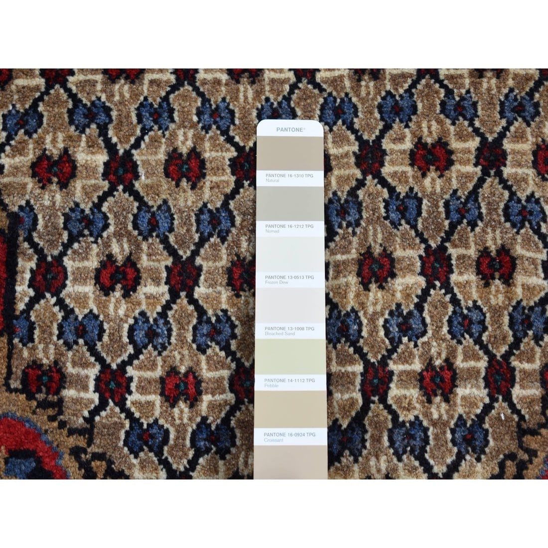 Beaver Brown, New Persian Serab, Pure Wool, Hand Knotted Rug - 5