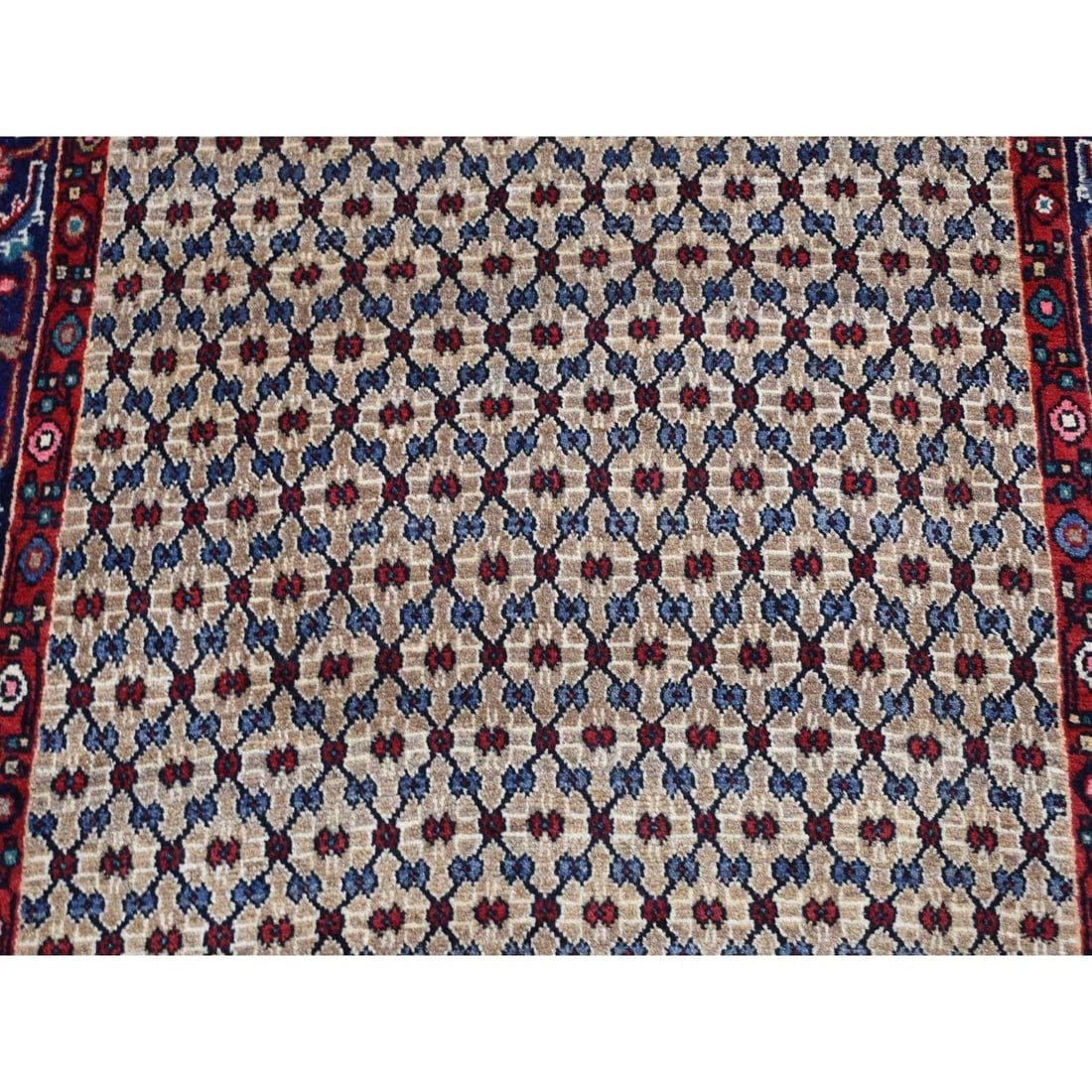 Beaver Brown, New Persian Serab, Pure Wool, Hand Knotted Rug - 6