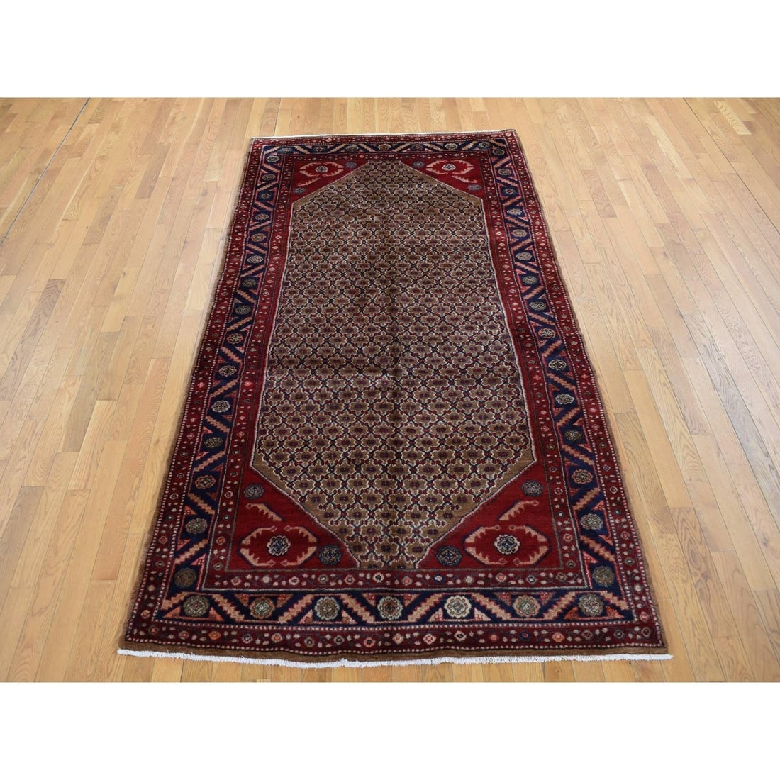 Saddle Brown, New Persian Serab, Pure Wool Hand Knotted Runner Rug - 2