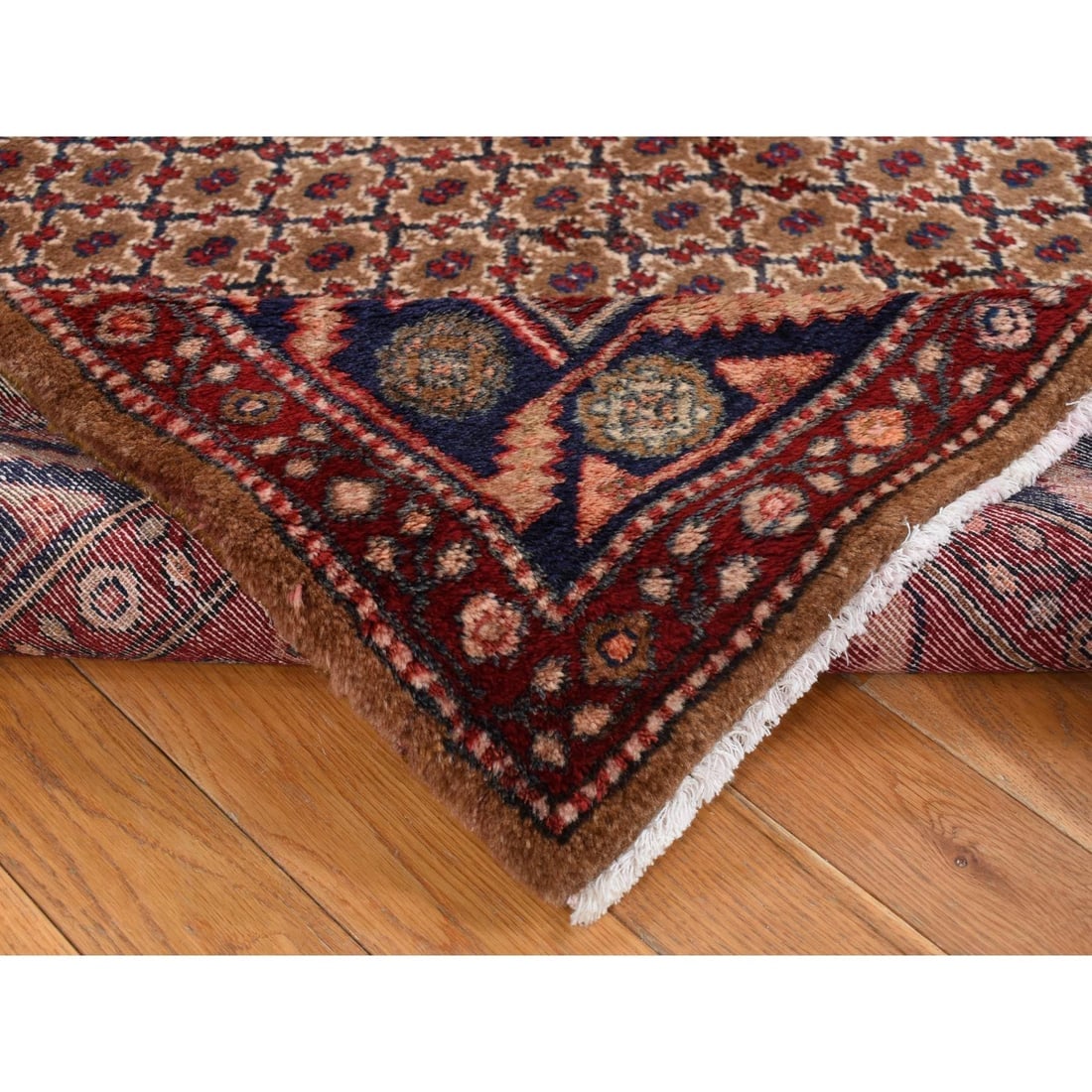 Saddle Brown, New Persian Serab, Pure Wool Hand Knotted Runner Rug - 4