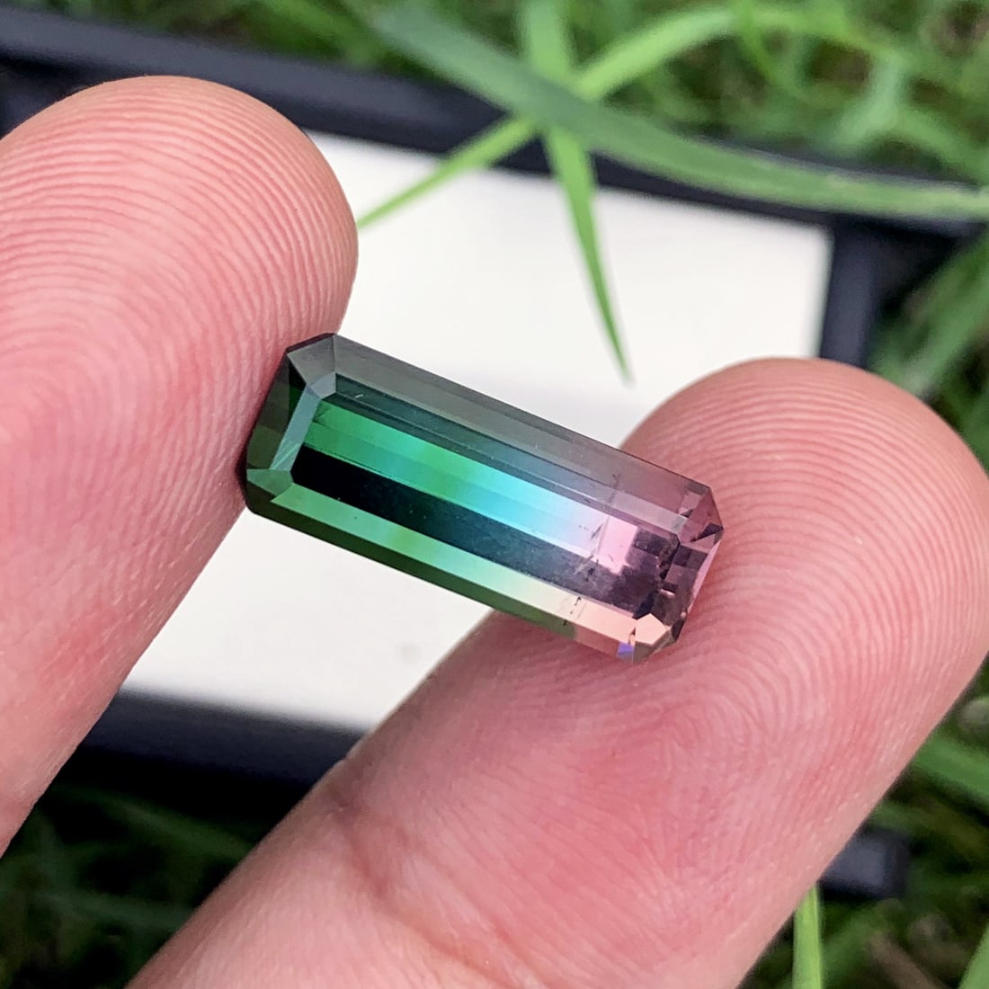 Tri Color Tourmaline Gemstone, Tourmaline Ring Stone, Natural Tourmaline: Tri Color Tourmaline Gemstone, Tourmaline Ring Stone, Natural Tourmaline Weight : 5.80 CT Dimensions : 17 mm x 7 mm x 6 mm Shape : Emerald Clarity : VS Color : Tri Color, Pink-Blue-Green Treatment :