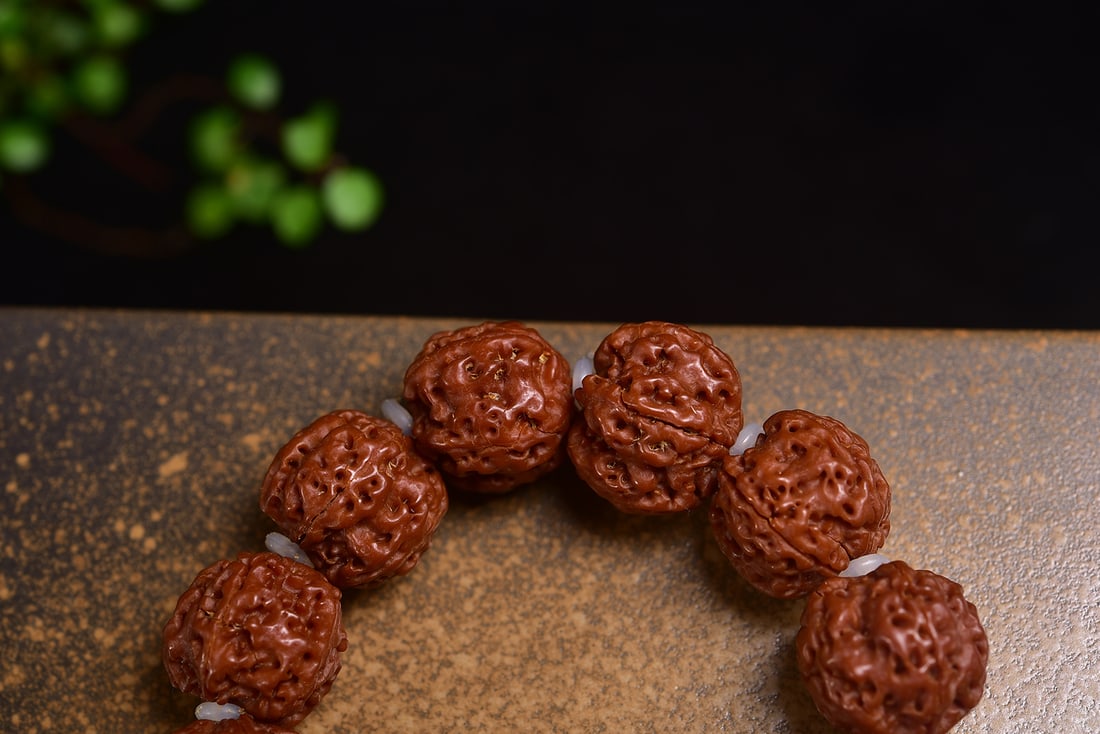King Kong Bodhi Bracelet - 5