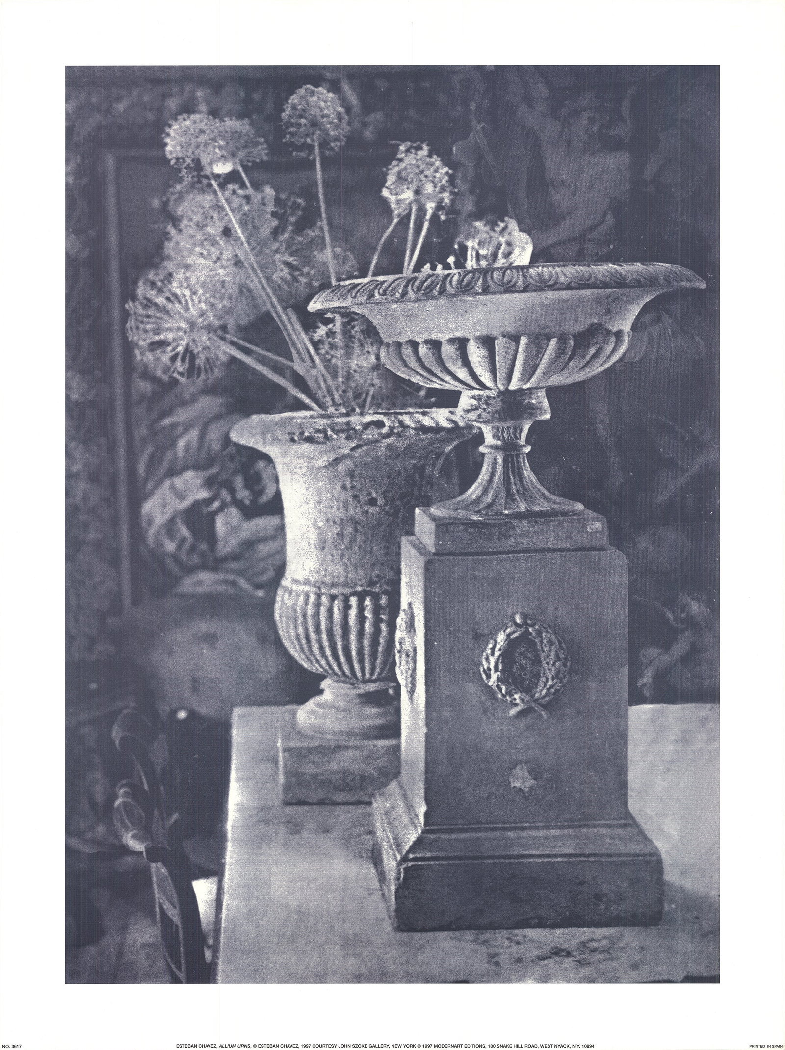 Allium Urns: Allium Urns by Esteban Chavez, 1997 Unsigned Offset Lithograph. Paper size is 32 x 24 inches, with an image size of 28 x 20 inches. The Offset Lithograph is from an unknown edition size. and is not