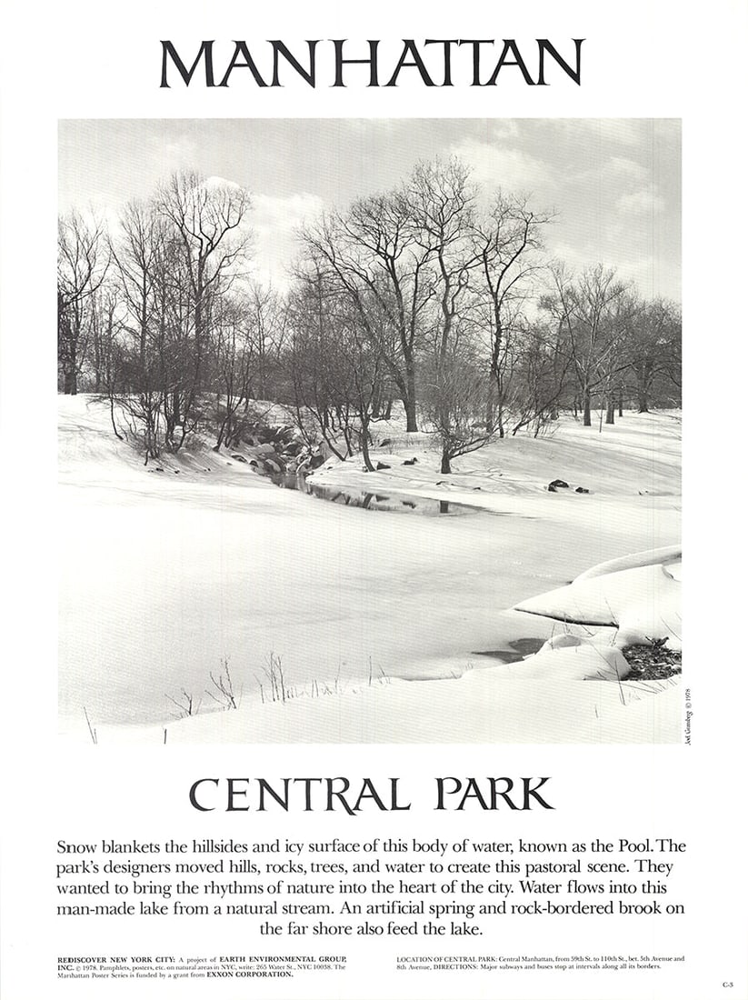 Central Park: Central Park by Joel Greenberg, 1978 Unsigned Offset Lithograph. Paper size is 24 x 18 inches, with an image size of 15 x 15 inches. The Offset Lithograph is from an unknown edition size. and is not
