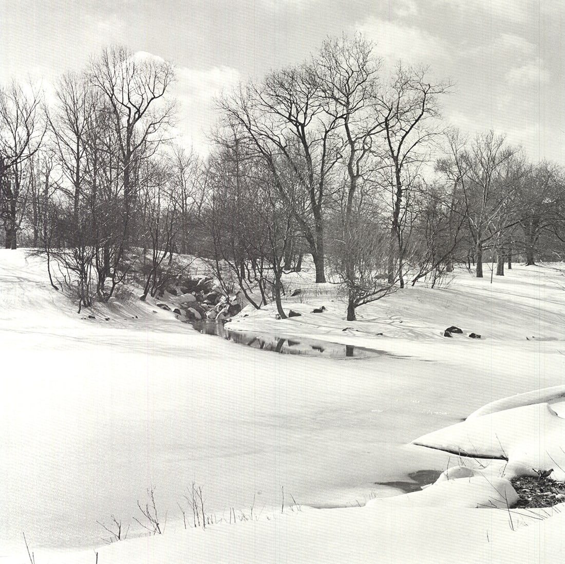 Central Park - 2