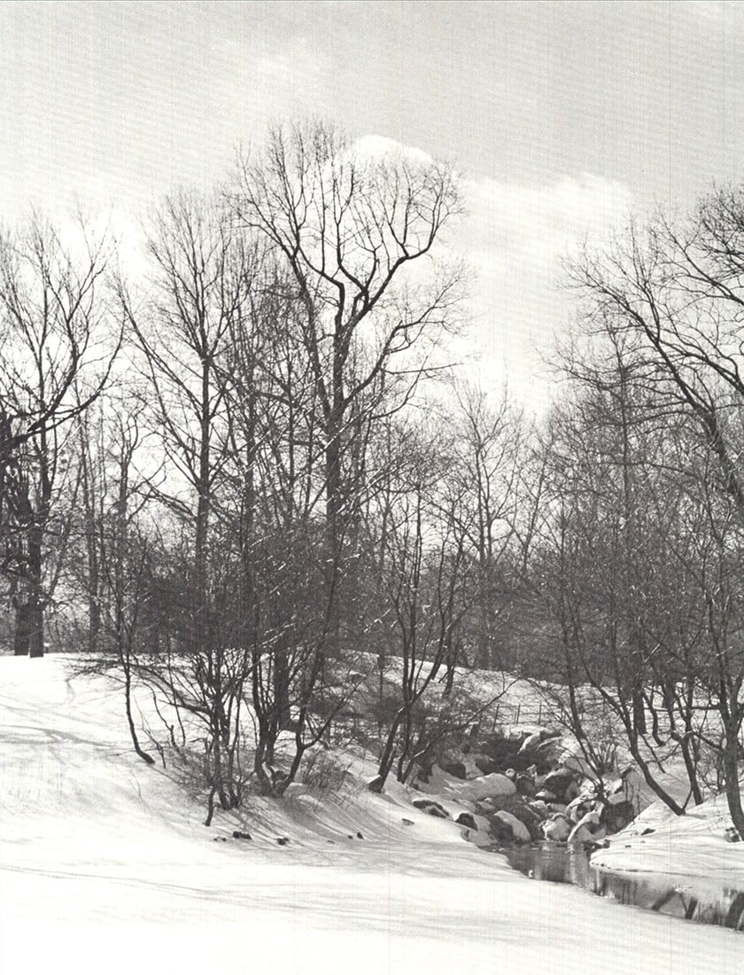 Central Park - 3