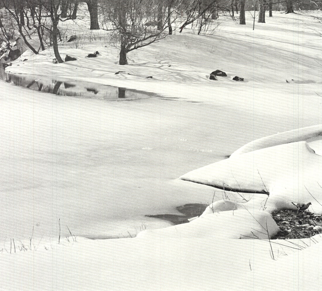 Central Park - 4