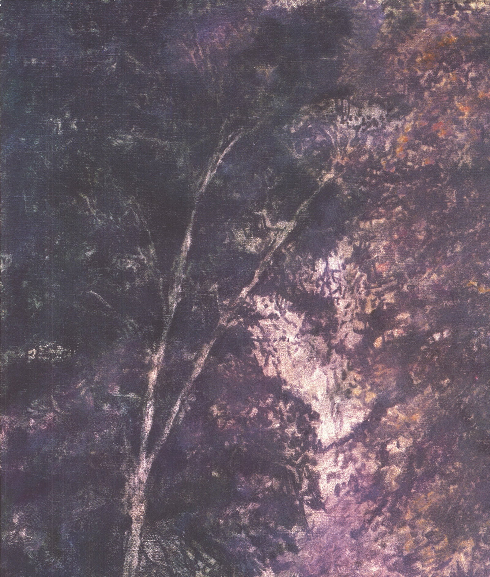 Early Morning - 3
