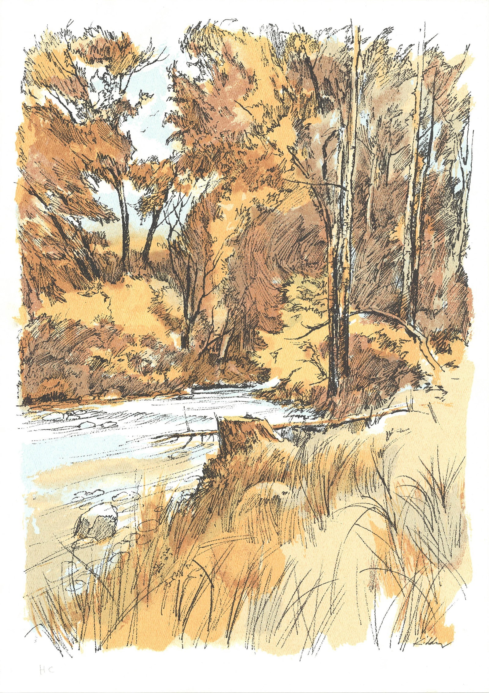 Forest Scene: Forest Scene by Laurie Kidder, 1975 Unsigned Lithograph. Paper size is 23.75 x 17.25 inches, with an image size of 23.75 x 17.25 inches. The Lithograph is from an edition size of 10 and is not