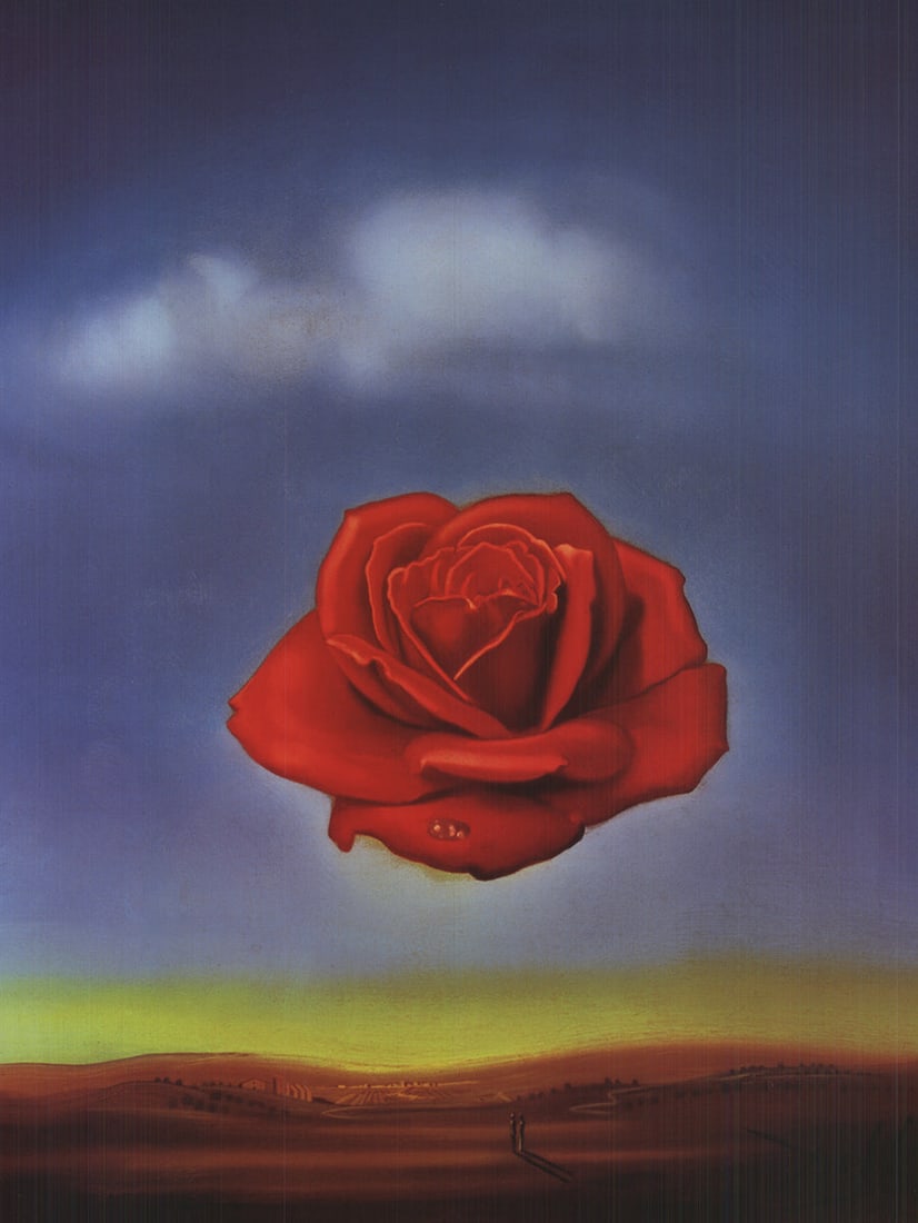 Meditative Rose - 2