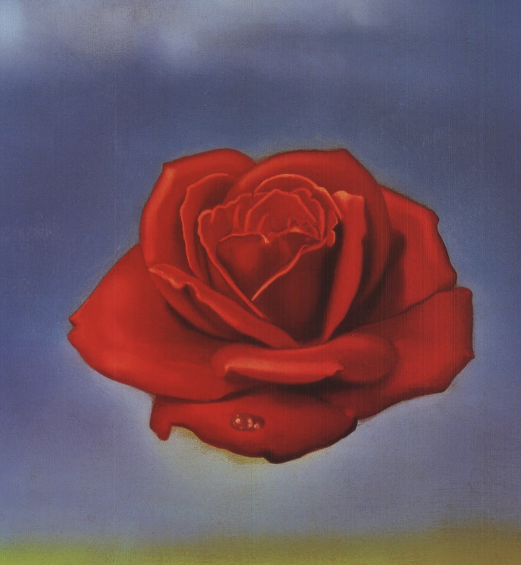 Meditative Rose - 3