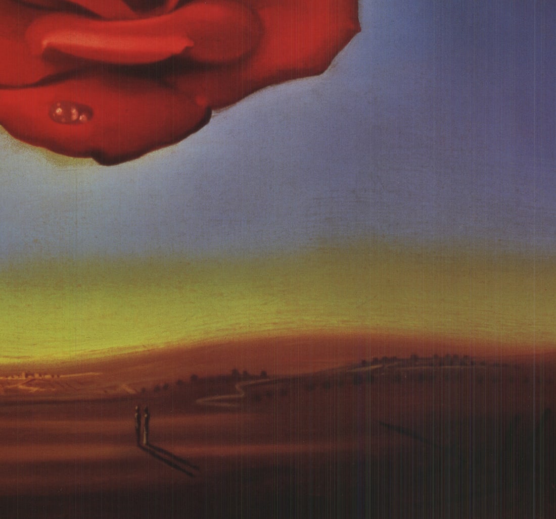Meditative Rose - 4