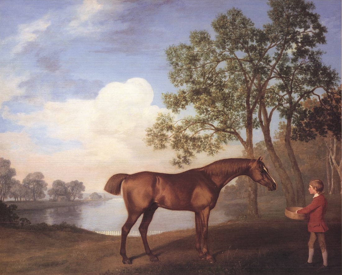 Pumpkin with a Stable-Lad - 2
