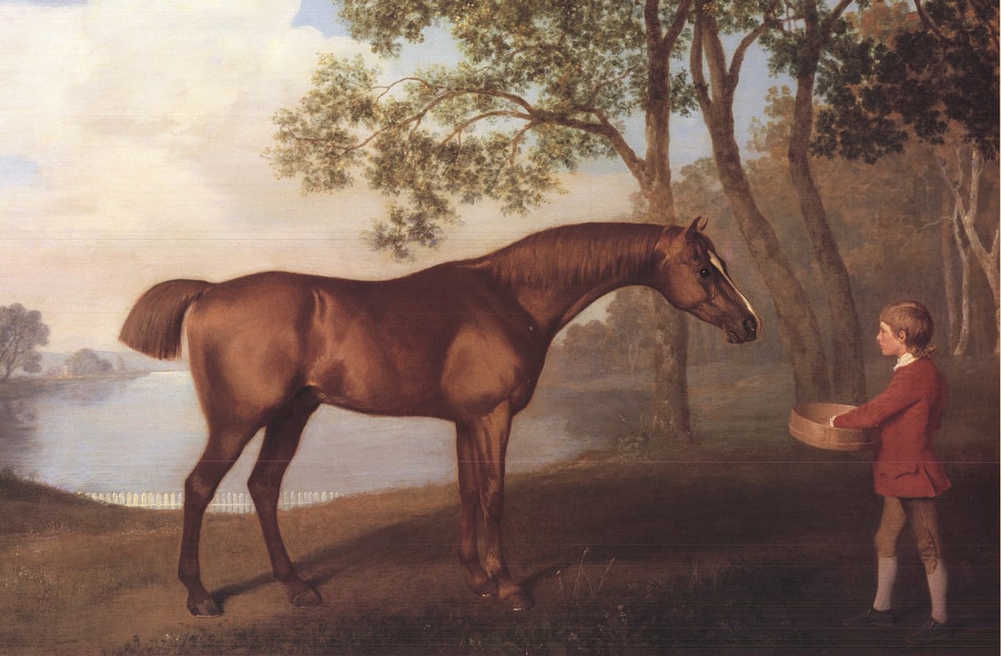 Pumpkin with a Stable-Lad - 3