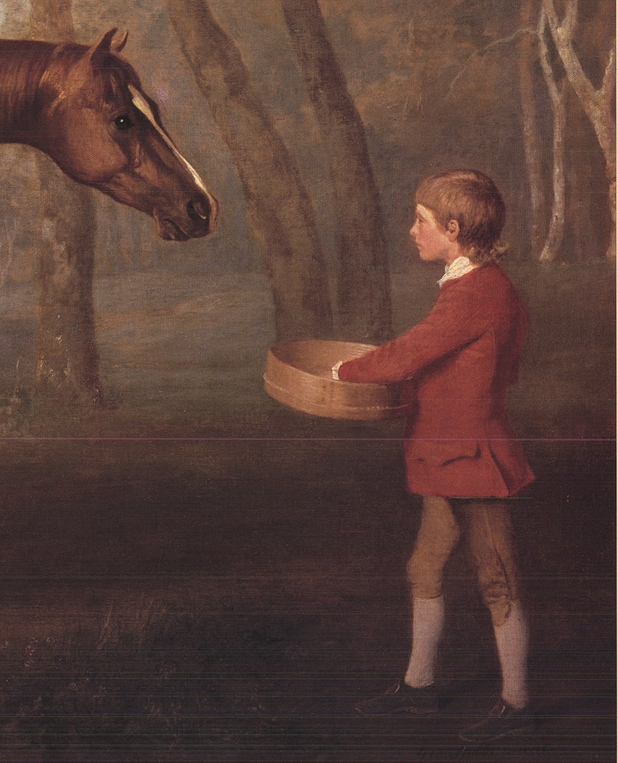 Pumpkin with a Stable-Lad - 4