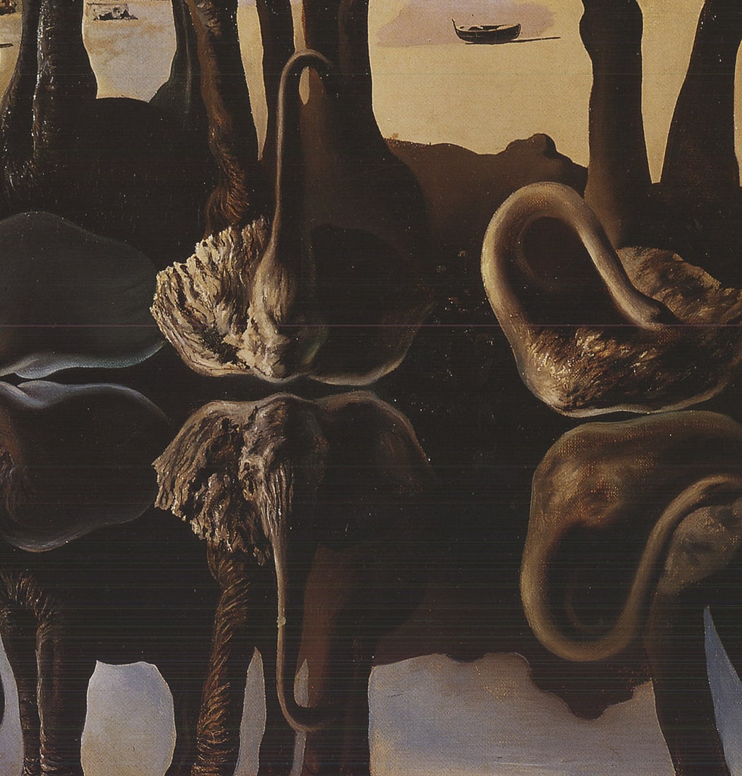 Reflection of Elephants - 4