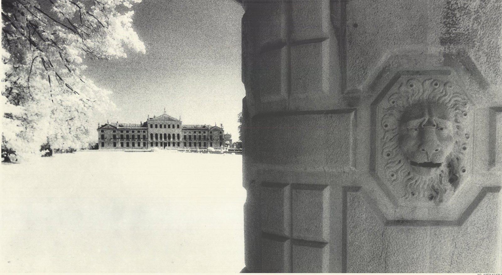 Villa Pisani - 2