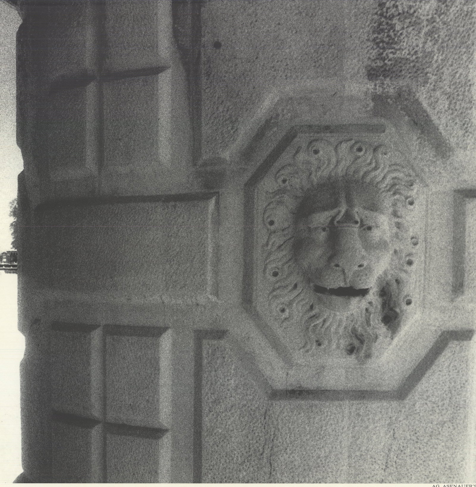 Villa Pisani - 4